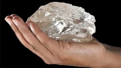 The worlds second largest diamond has been discovered, you will be surprised to know its weight