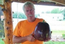 World Record Eggplant