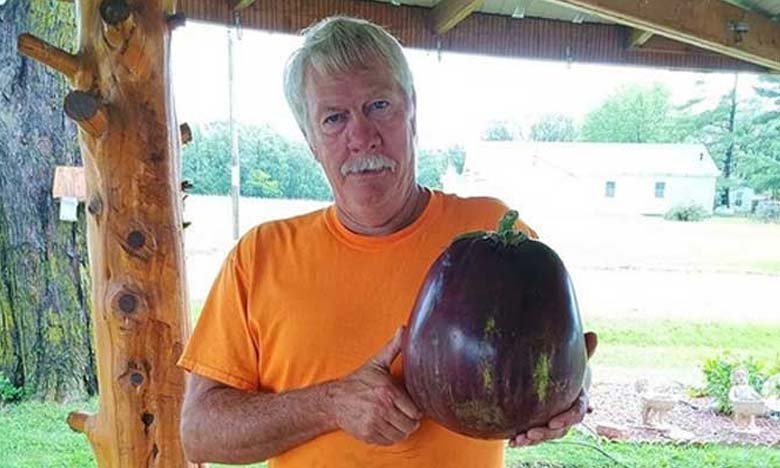 World Record Eggplant